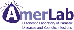 AmerLab | Laboratorium Diagnostyki Zarażeń Pasożytniczych i Odzwierzęcych
